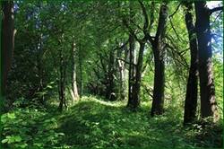0_1267e9_e916c874_orig.jpg