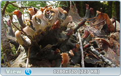 0_10388d_35b189c7_orig.png