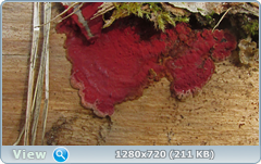 0_103de7_693c0ada_orig.png
