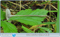 0_109260_fb097782_orig.png