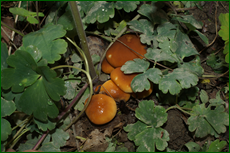 0_e1ea6_8fd1d54b_orig.png