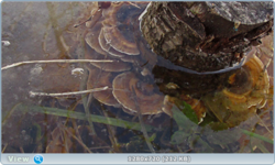 0_10206c_5e328a4e_orig.png