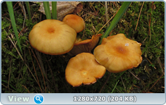 0_1073eb_542ced99_orig.png