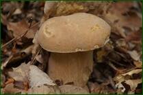 0_ef83f_20a389c_orig.jpg