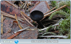 0_1040af_d9a77c6f_orig.png