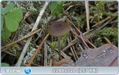 0_1040bc_6e87b9e3_orig.png