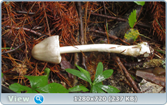 0_10dd60_42577b09_orig.png