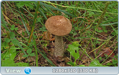 0_10f279_7e711654_orig.png