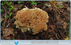 0_110883_7d465867_orig.png