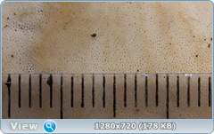 0_114cdd_ebad4319_orig.png