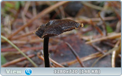0_102816_4f45ad14_orig.png