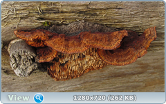0_102947_d96b4c6d_orig.png