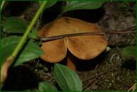 0_eb3c4_66d24619_orig.jpg