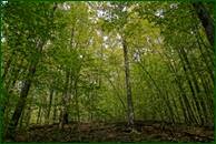 0_eedd2_4685c29e_orig.jpg