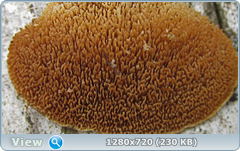 0_10203e_33df86ec_orig.png