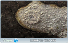 0_103d29_becf5655_orig.png
