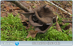0_10f2d7_9bcd82eb_orig.png