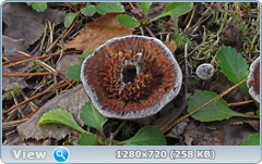0_112248_e8964561_orig.png