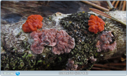 0_1027b5_bc7a16ae_orig.png