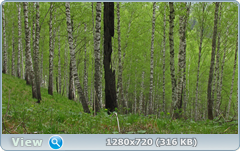 0_105f8c_a6f33cd5_orig.png