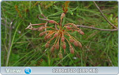 0_10a34f_b512393d_orig.png