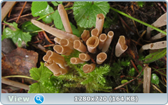 0_1105f3_7a8e54d_orig.png