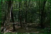 0_ed5fe_c4792628_orig.jpg