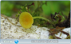 0_1096fd_357646b2_orig.png