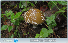 0_10a6e3_41a653ac_orig.png