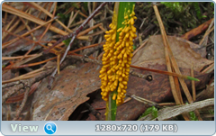 0_10a6f3_1d8039e0_orig.png