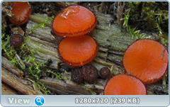 0_10b14c_4ba286e3_orig.png