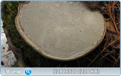0_102775_997bf50d_orig.png