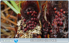 0_103841_4fc19214_orig.png