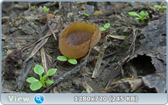 0_107ea7_1f4d2722_orig.png