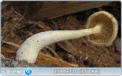 0_10c51b_958e9971_orig.png