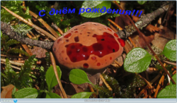 0_112832_dffa361e_orig.png