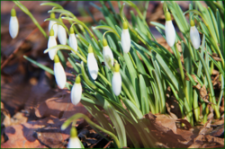 0_11c15f_697d724c_orig.png