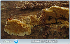 0_102010_6b0ac2ed_orig.png