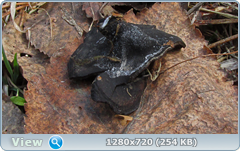 0_104af2_68db2eee_orig.png