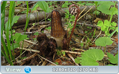 0_10658d_d1db2660_orig.png
