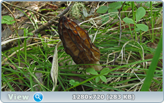 0_1068bc_80d1dcf2_orig.png