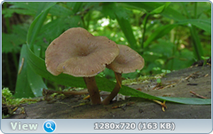 0_1092ff_6d921970_orig.png