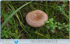 0_10f2a4_bfa6992_orig.png