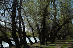 0_e2493_e97bb15d_orig.png