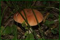 0_eb33a_3f58d861_orig.jpg