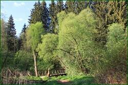 0_1208e5_3f2d51d3_orig.jpg