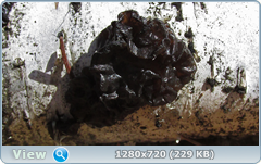 0_102810_e6e217b2_orig.png