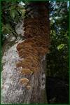 0_edf0c_27405f05_orig.jpg