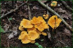 0_1282f1_a3ea0106_orig.jpg