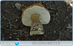 0_107e6b_de4a03a6_orig.png